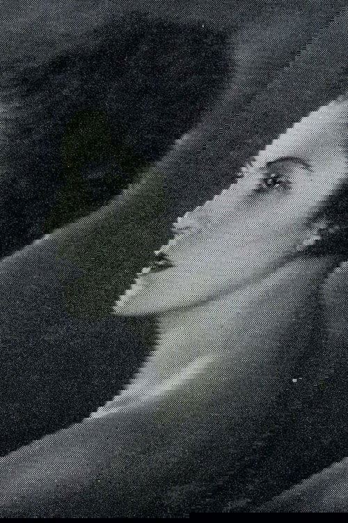 کارولا نیر