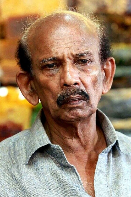 مگس