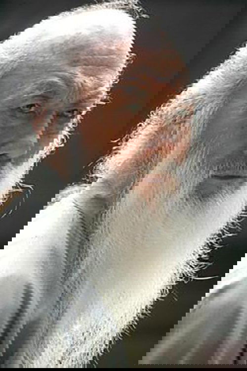 یو چنگوی