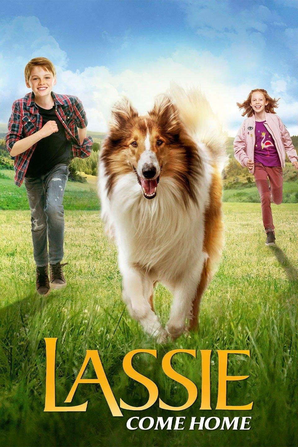 لسی - سفر ماجراجویانه