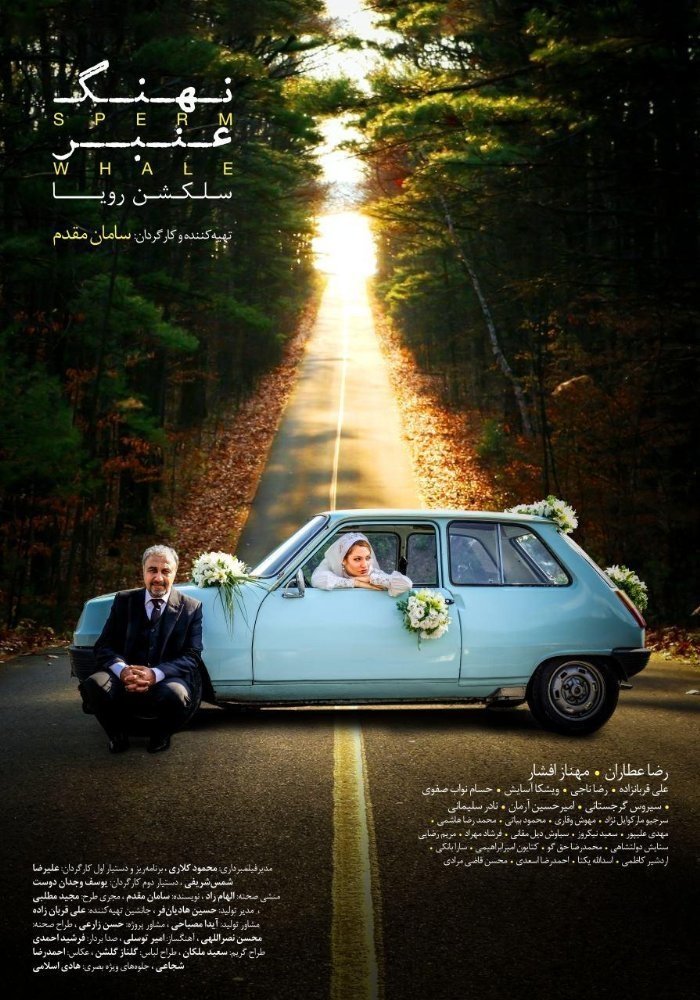 نهنگ کاسه‌ای: انتخاب رویا
