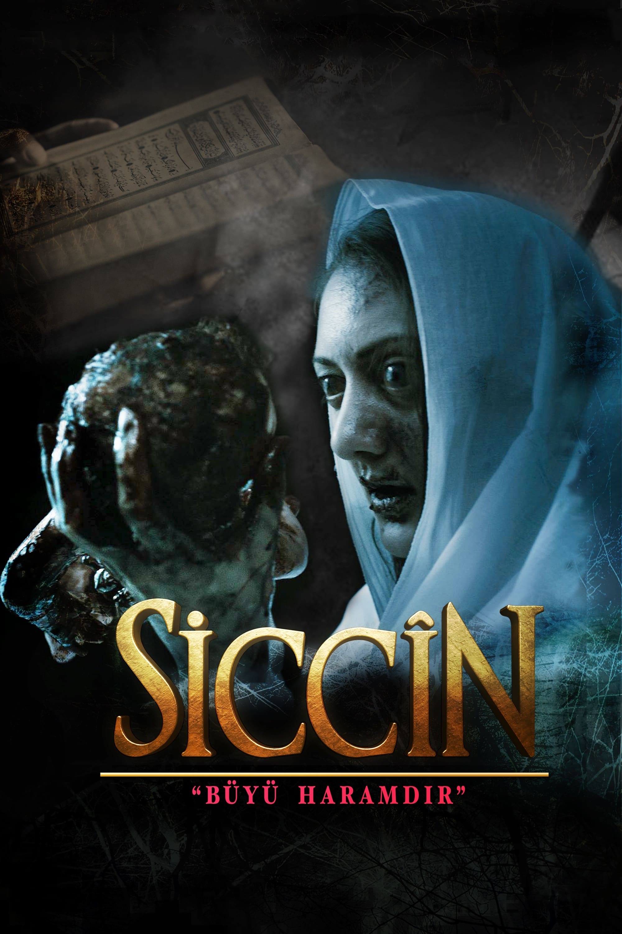 سیجین
