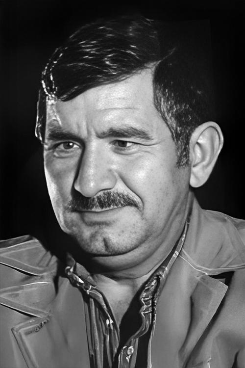 نظام ارگدن