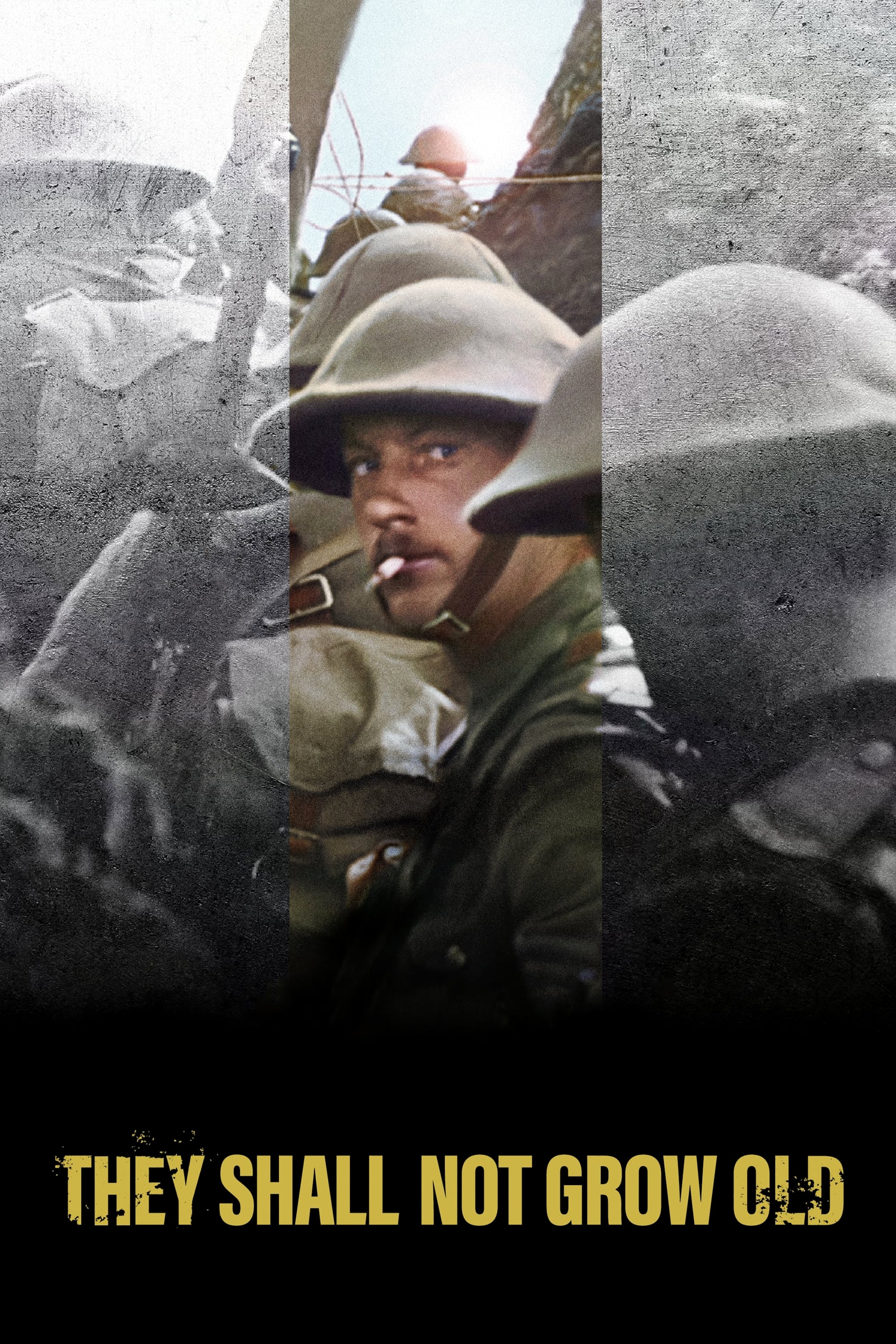 آنها نخواهند پیر شد.