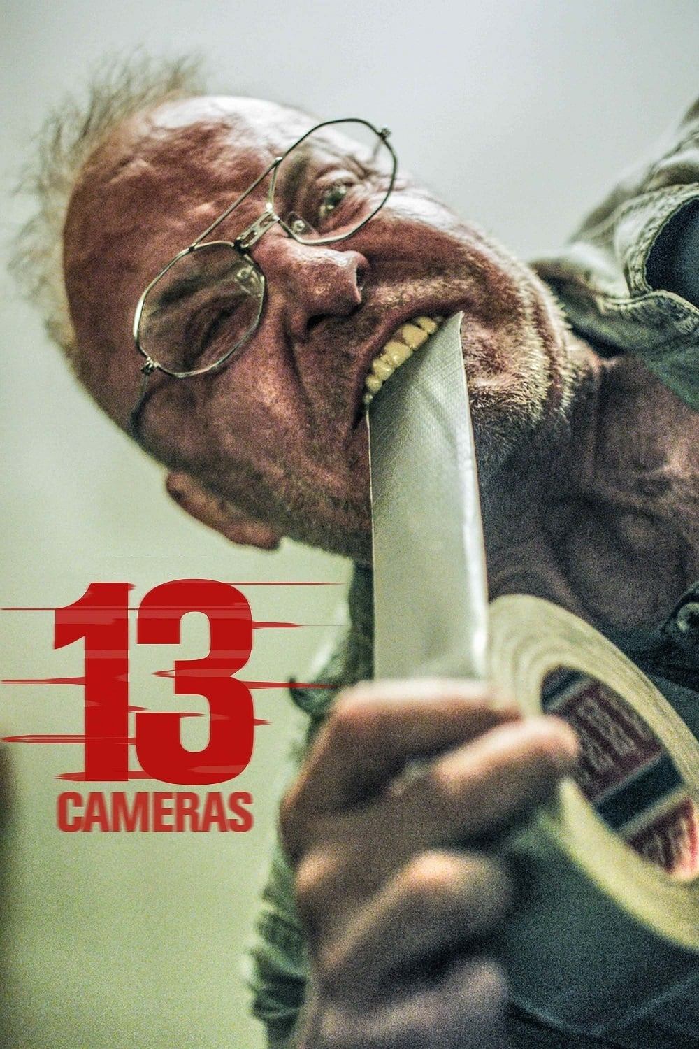 13 دوربین