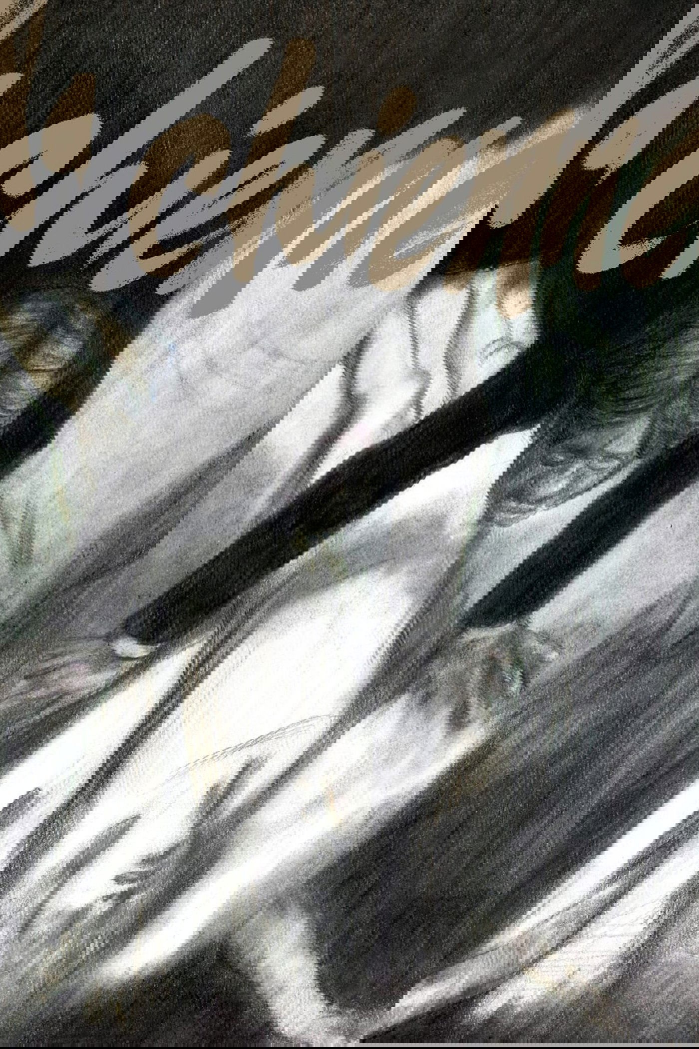 سگین