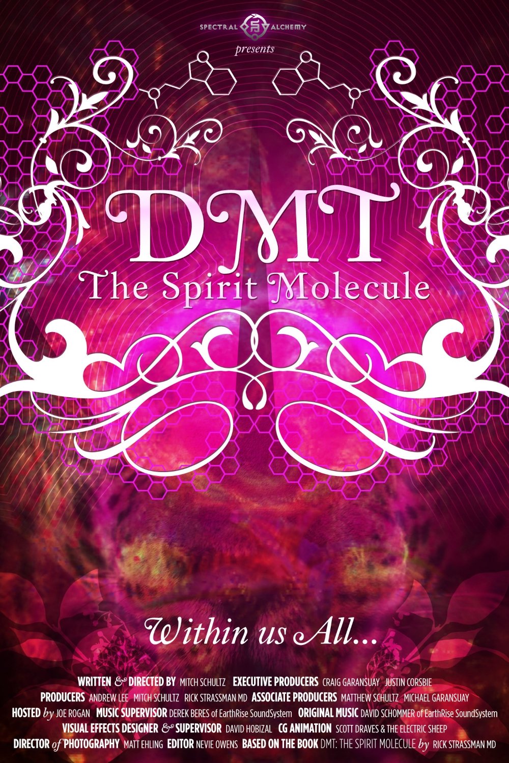 مولکول روح: DMT