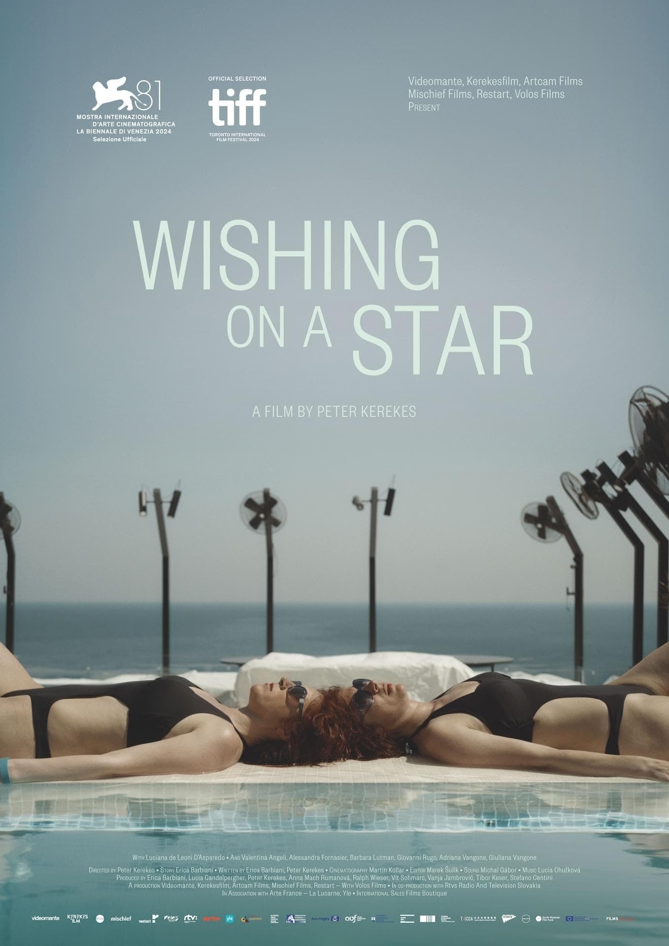 درخواستی از من برای ترجمه عبارت "Wishing on a Star" به زبان فارسی برای فیلم یا سریالی که محصول سال 2024 است را انجام دادی.