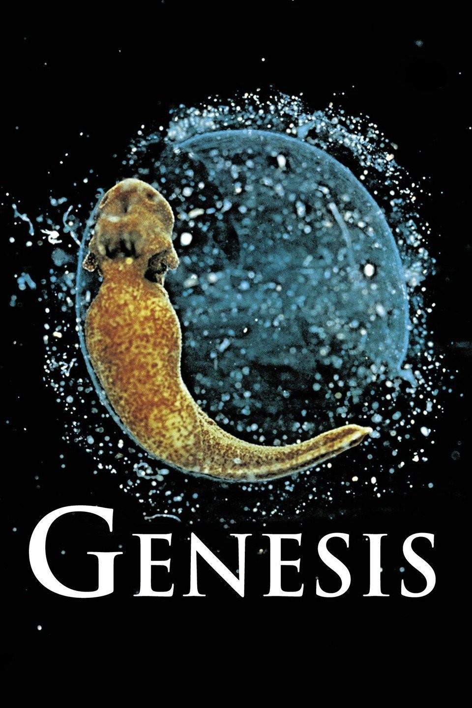 آغازگر