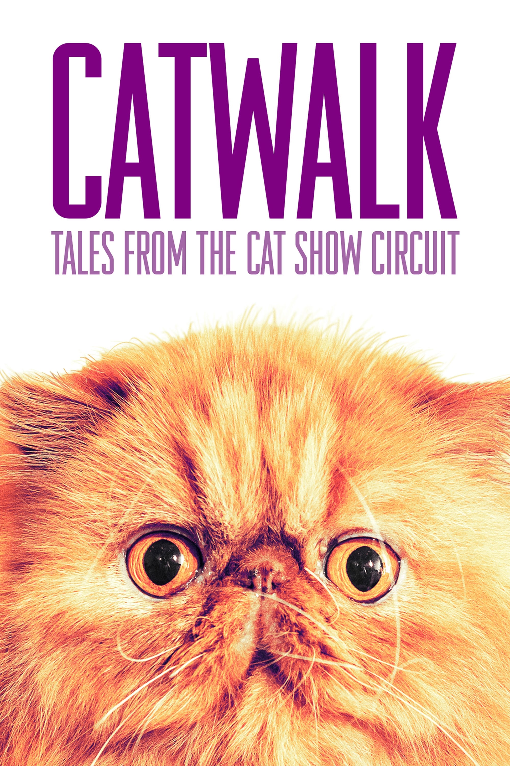 Catwalk: Tales از مدار Catshow