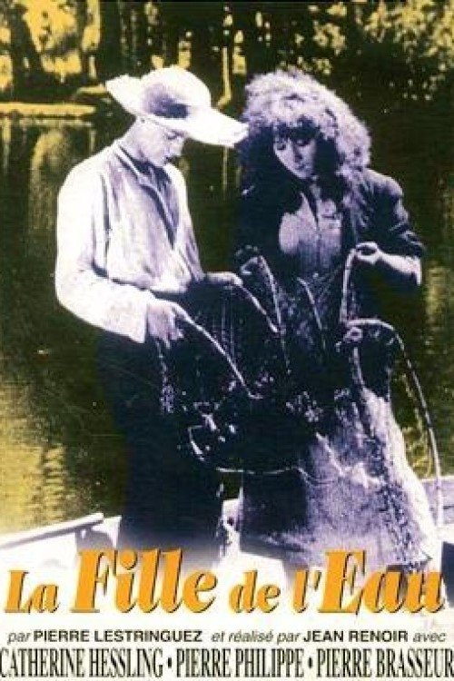 گردباد سرنوشت