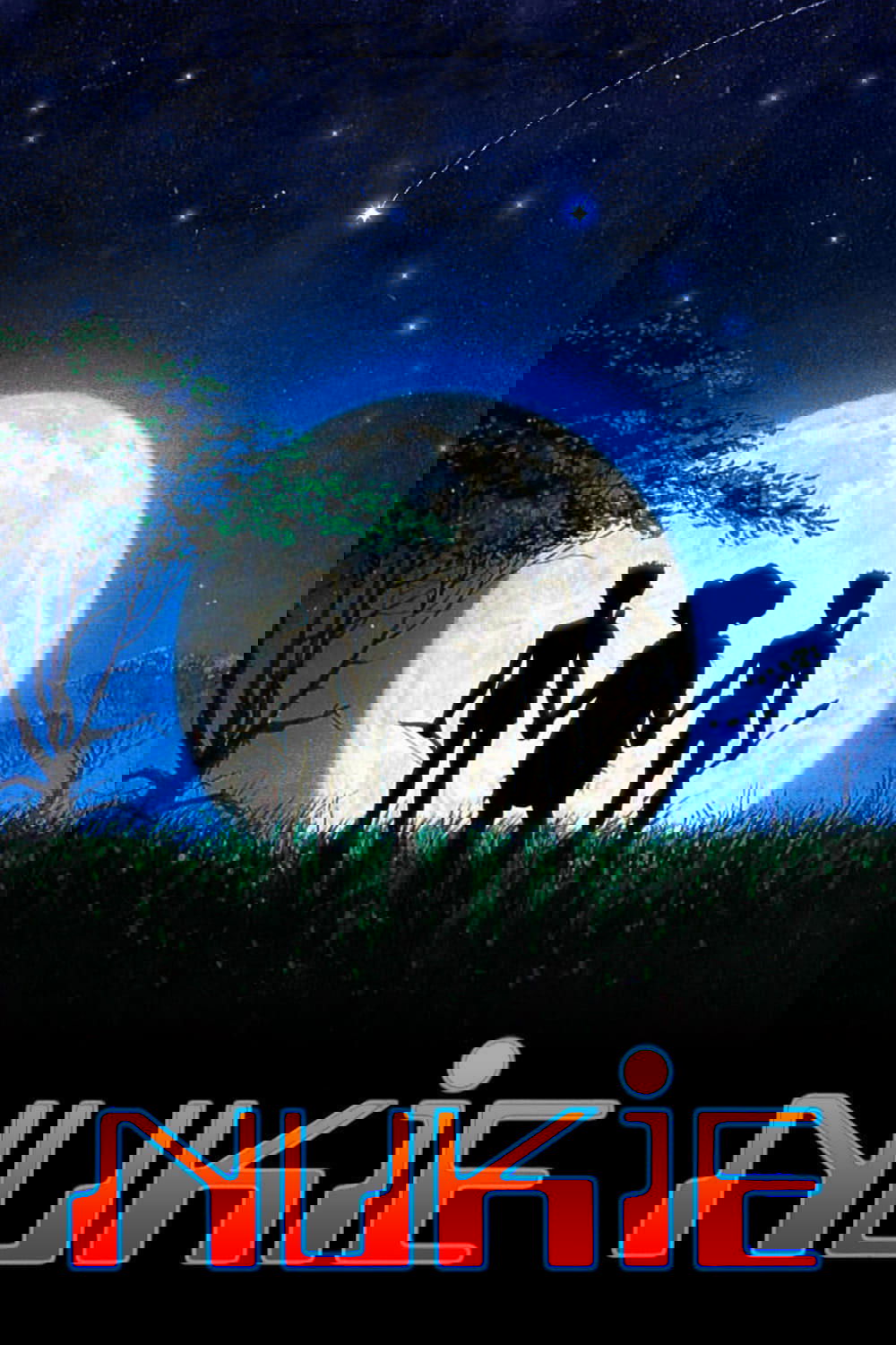 نوکوکی