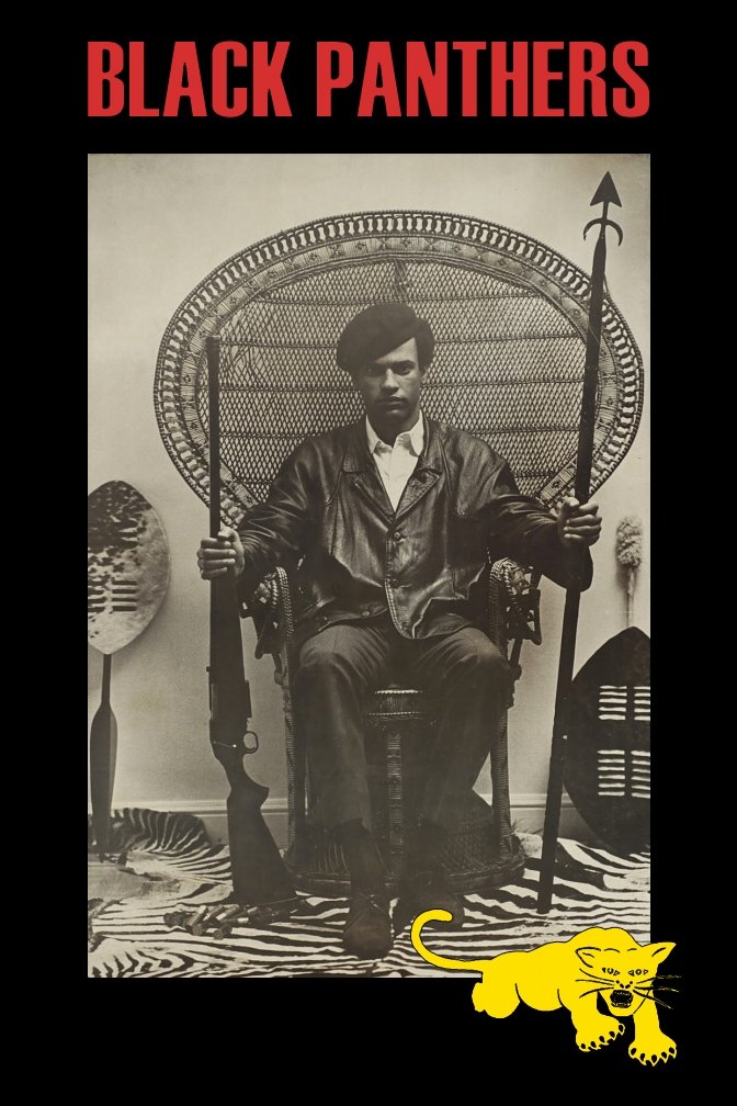 پلنگ سیاه