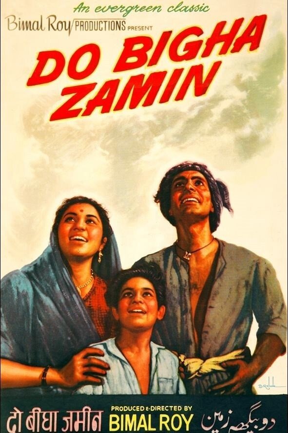 دو هکتار زمین