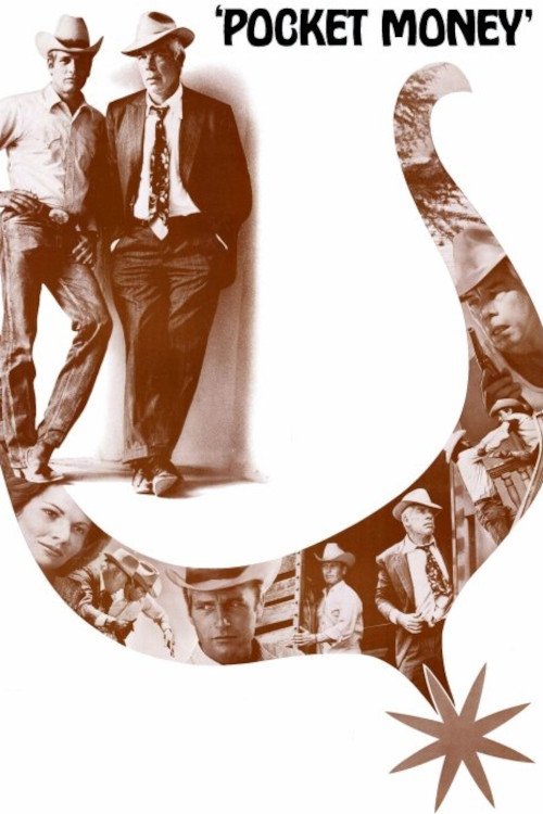 پول جیبی