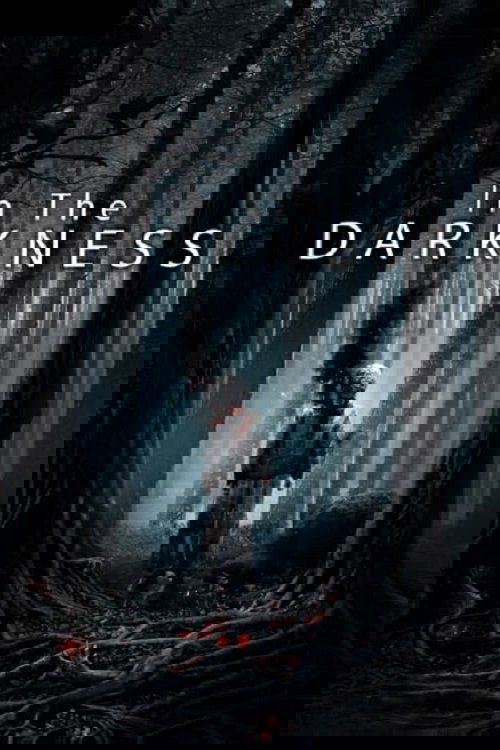 در تاریکی