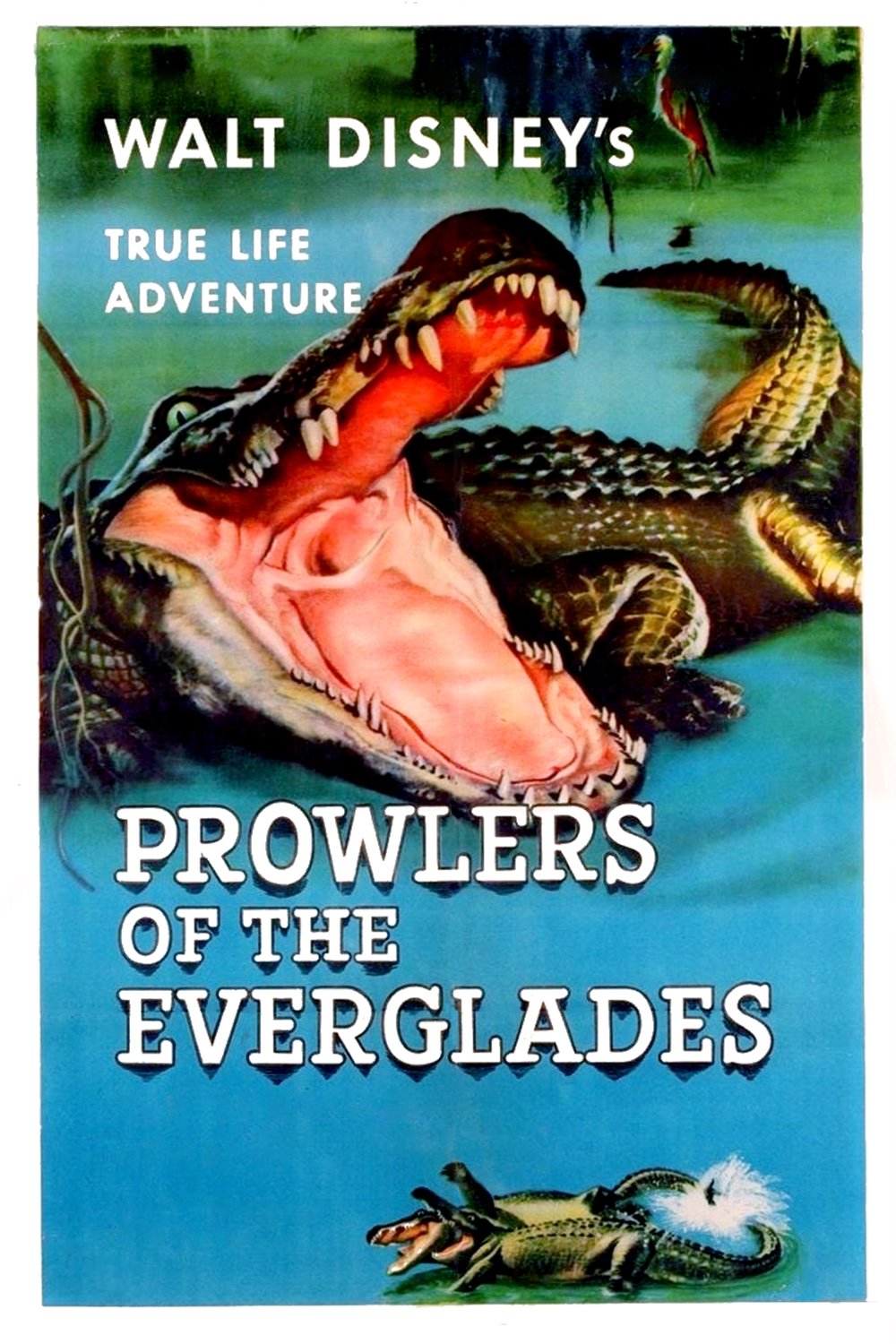 پرولرهای Everglades