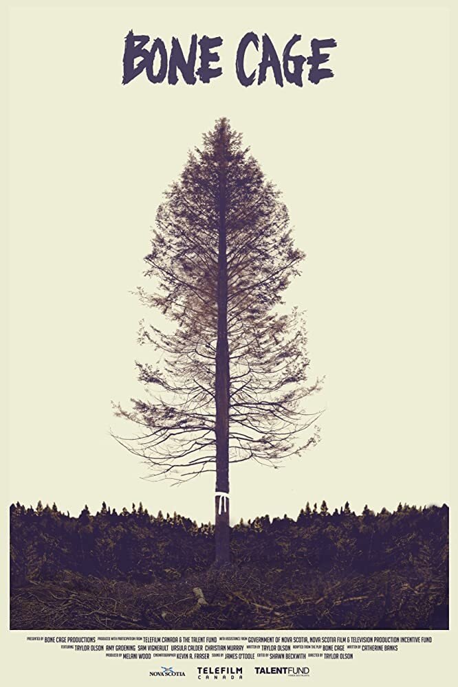 قفس استخوان