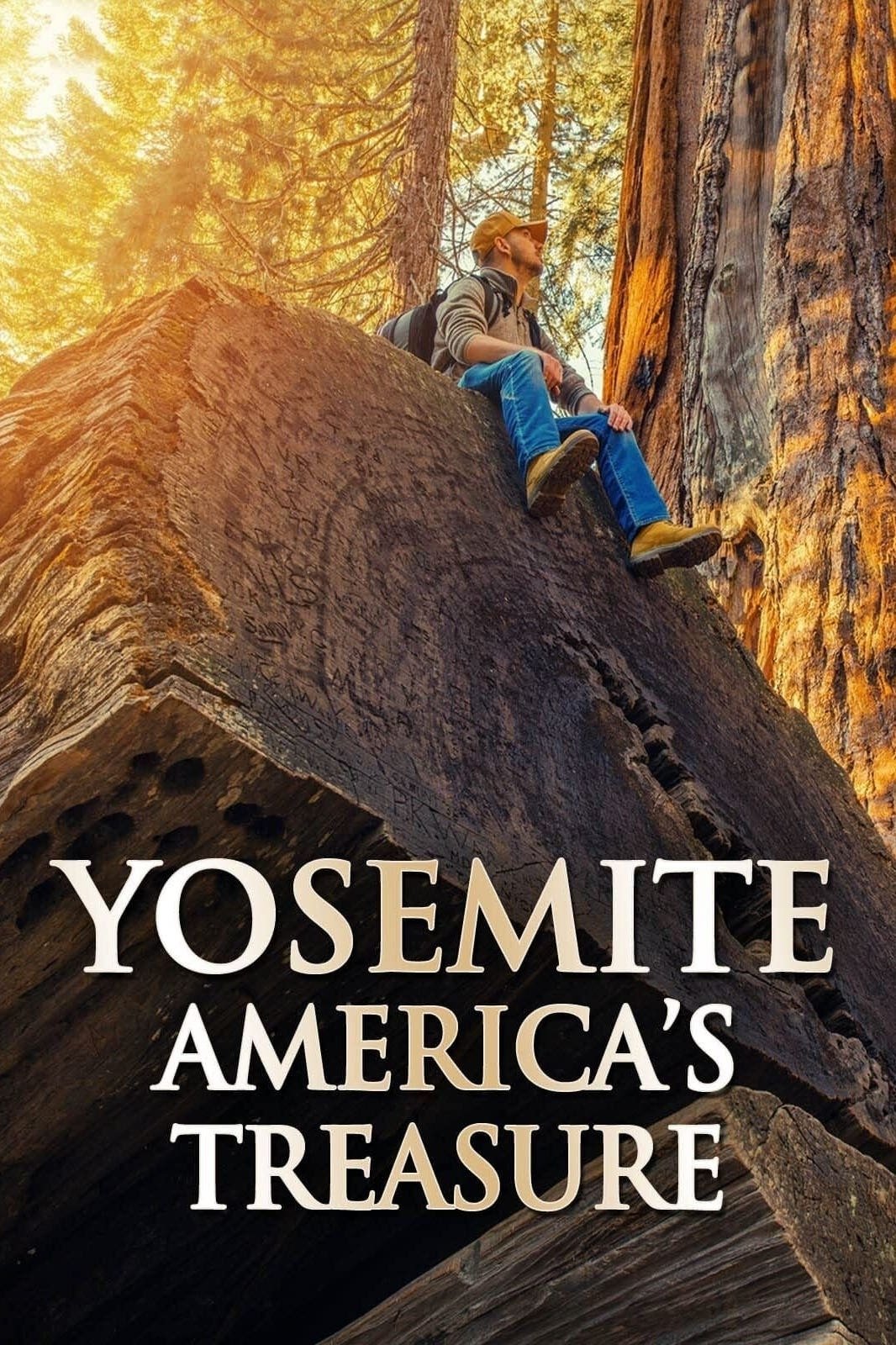 گنج yosemite Americas