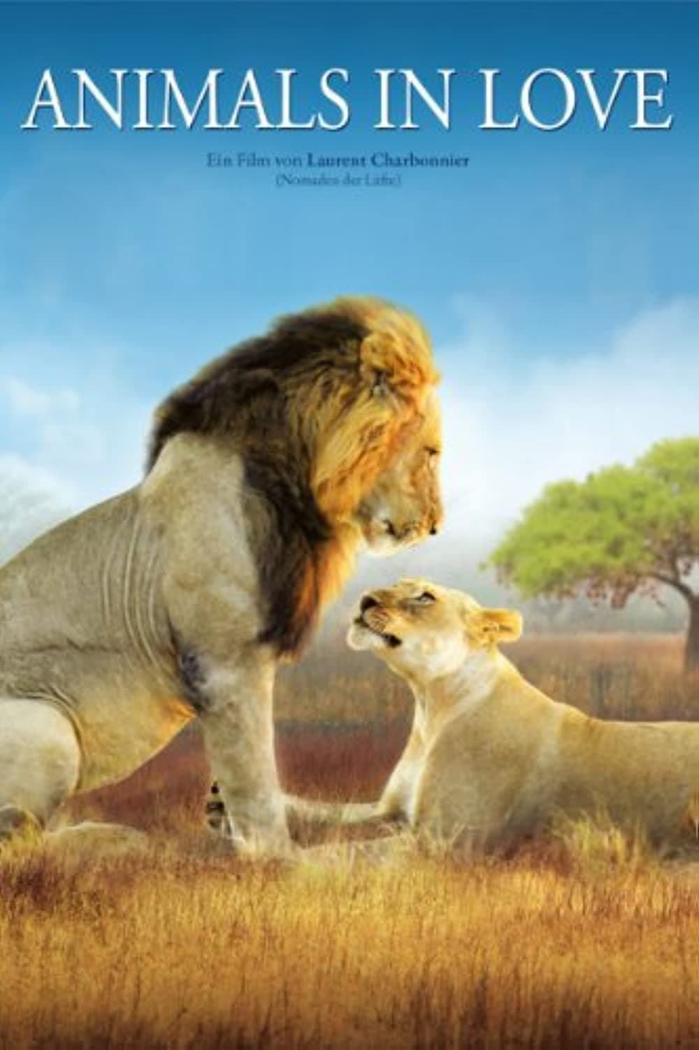 حیوانات عاشق