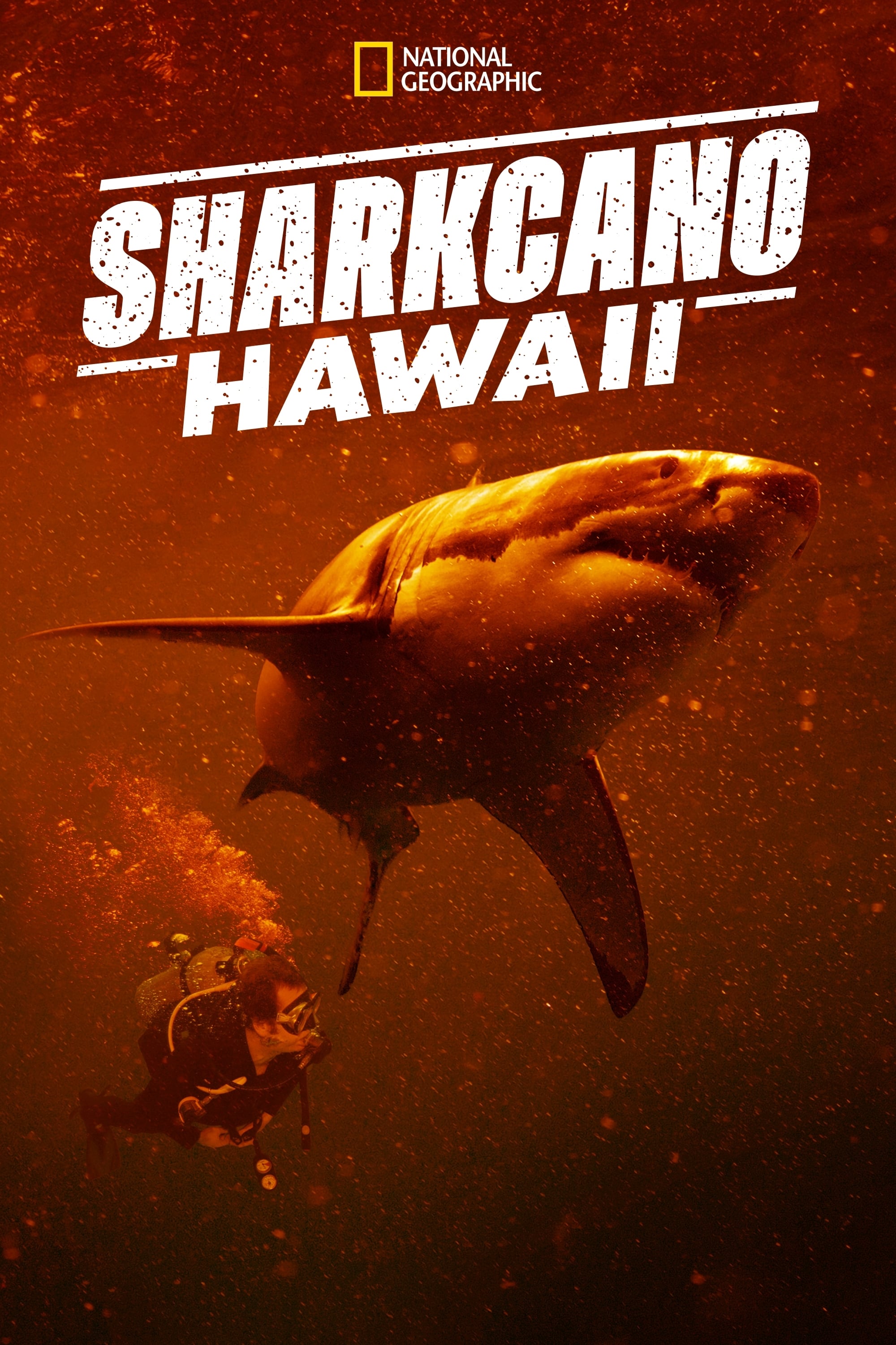 Sharkcano: هاوایی