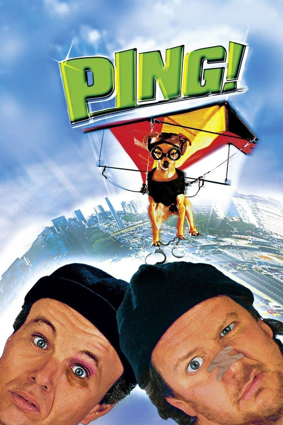 پینگ