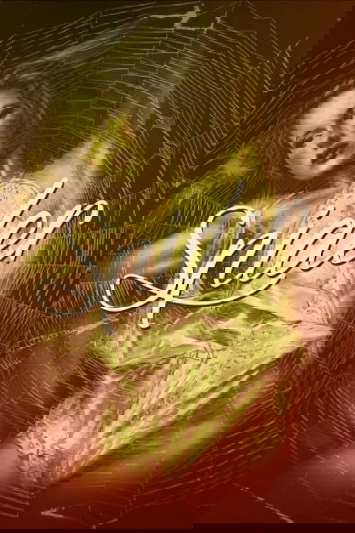 عنکبوت