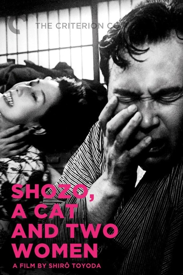 shozo ، یک گربه و دو زن
