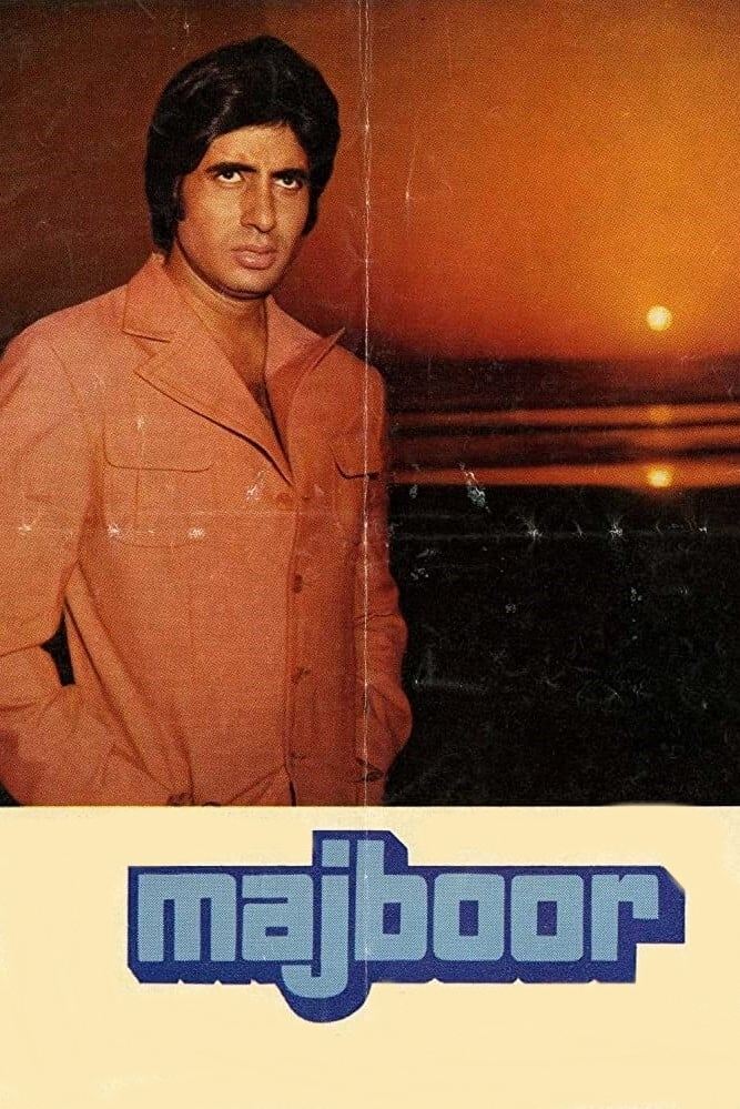 مگس