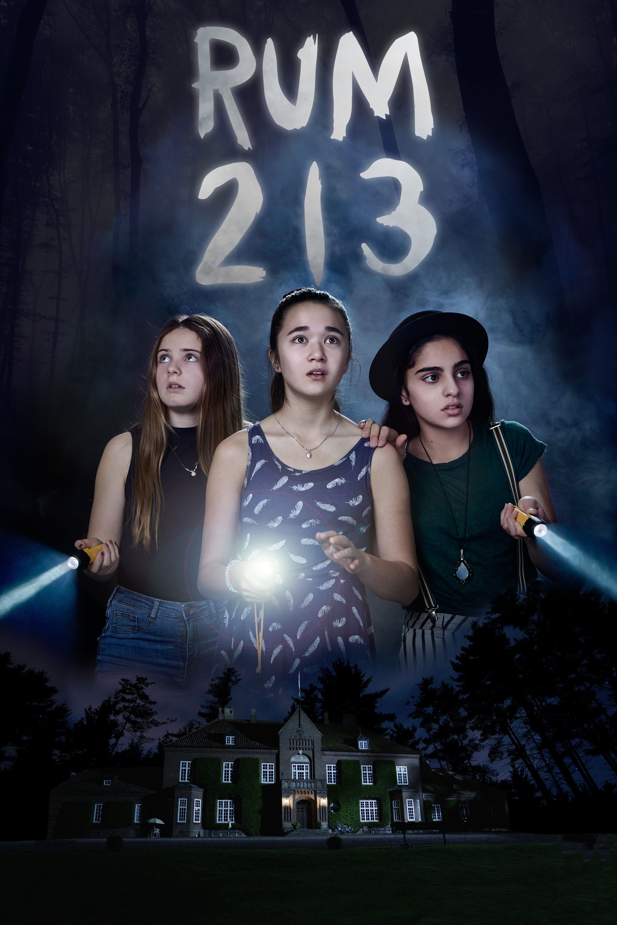 اتاق 213