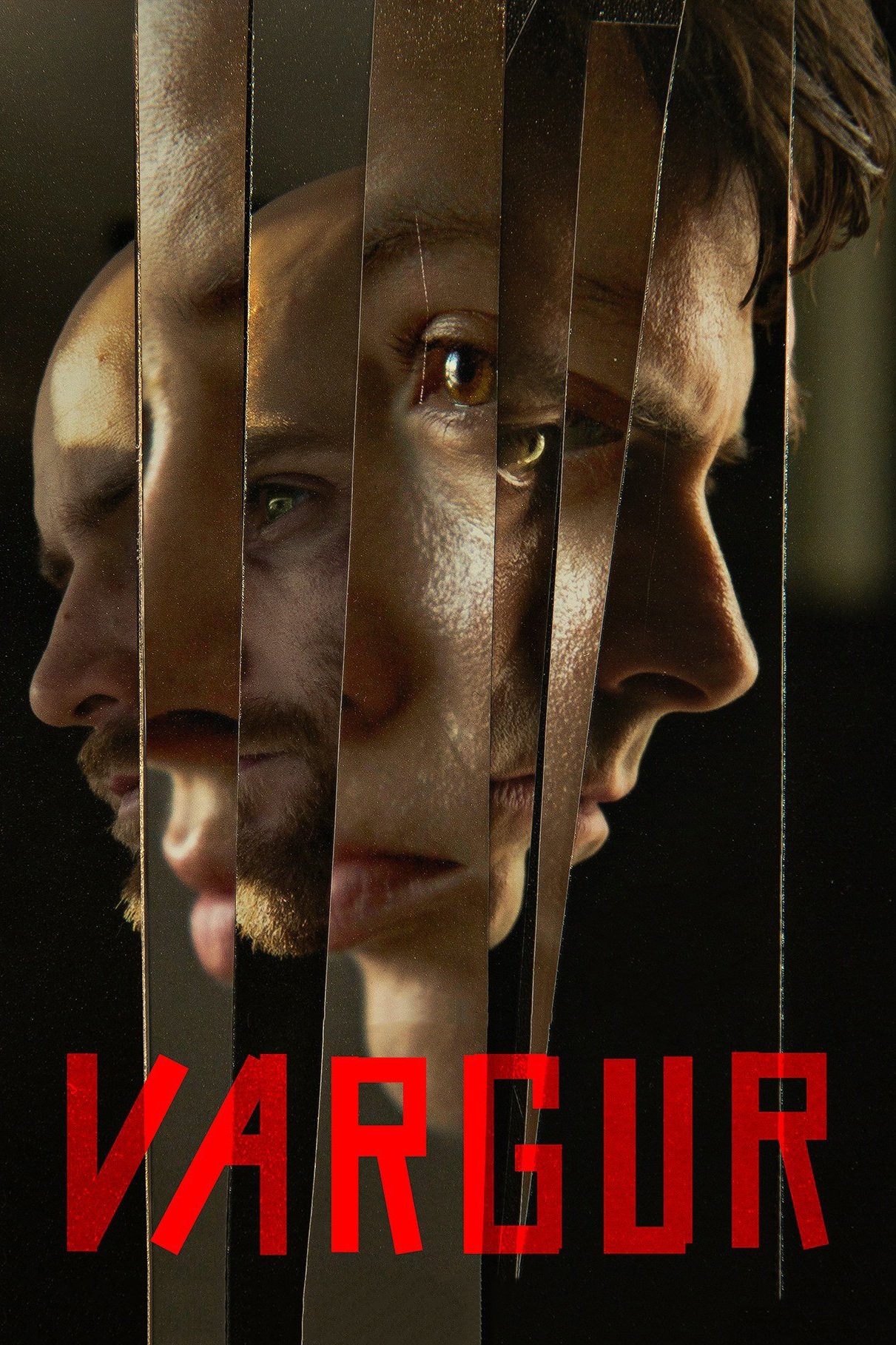 کرکس