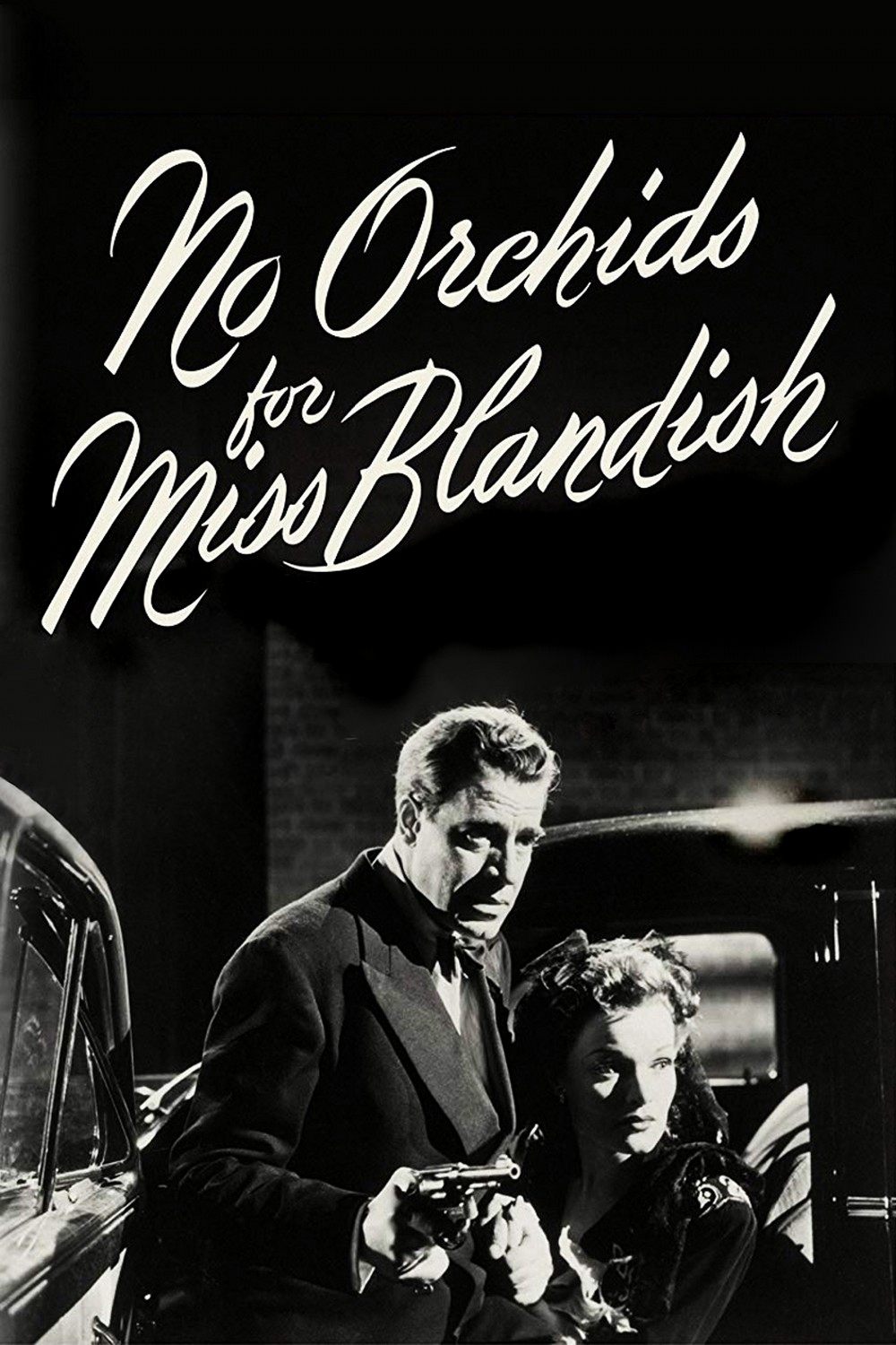 هیچ ارکیده ای برای Miss Blandish