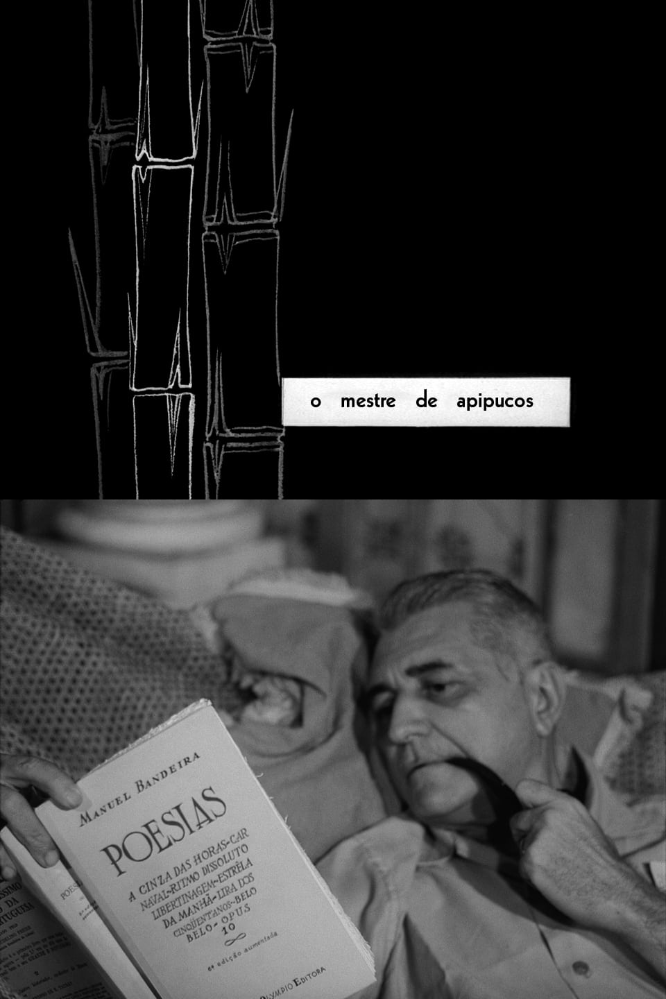 استاد apipucos