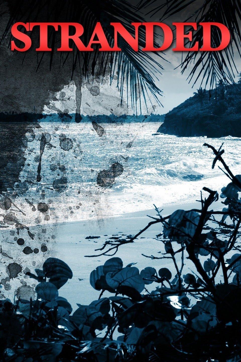 رشته