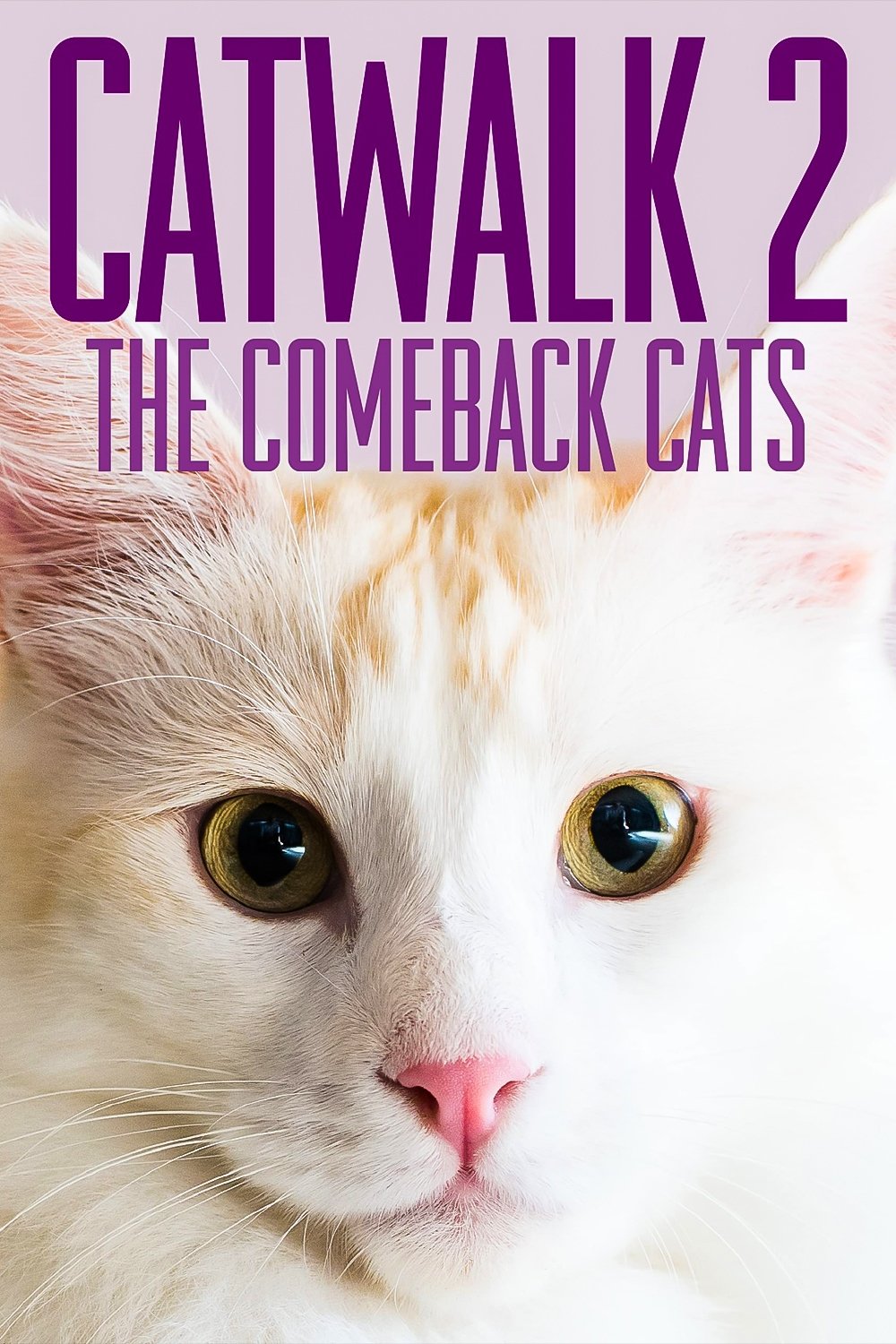 Catwalk 2: گربه های بازگشت