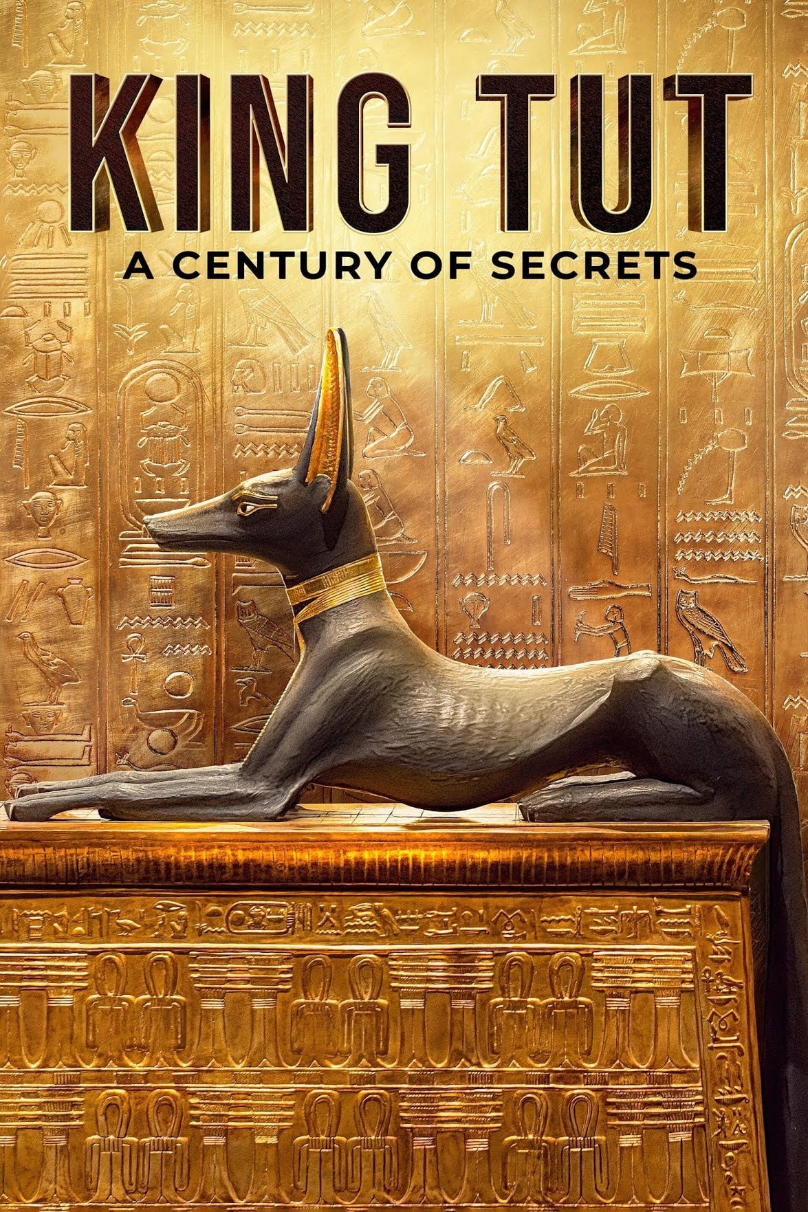 King Tut: یک قرن اسرار