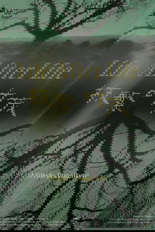 زندگی بعد از زندگی