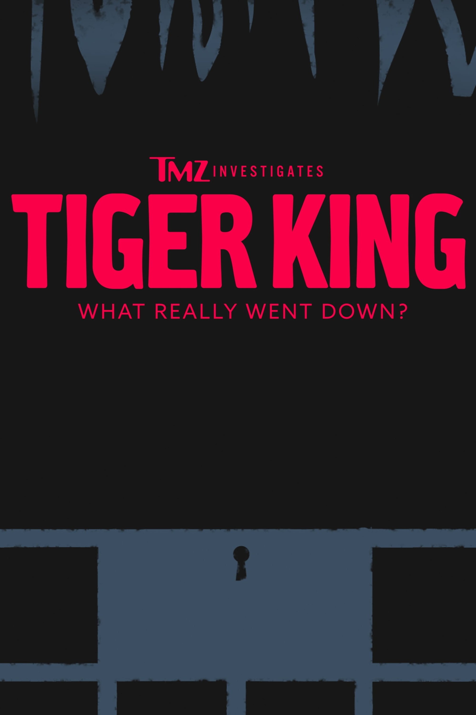 TMZ بررسی می کند: Tiger King - آنچه واقعاً پایین آمد