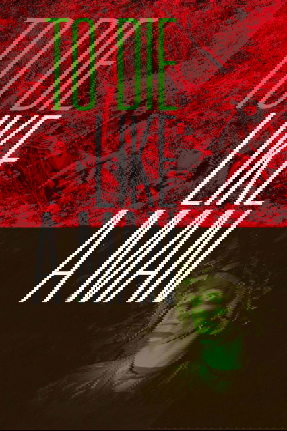 مثل یک مرد بمیرد