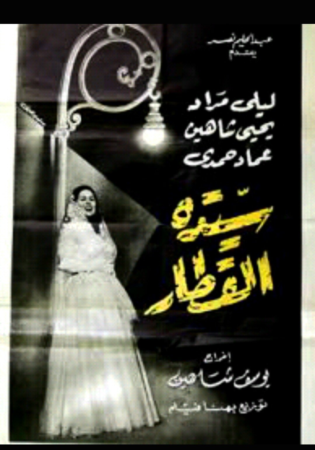 خانم در قطار
