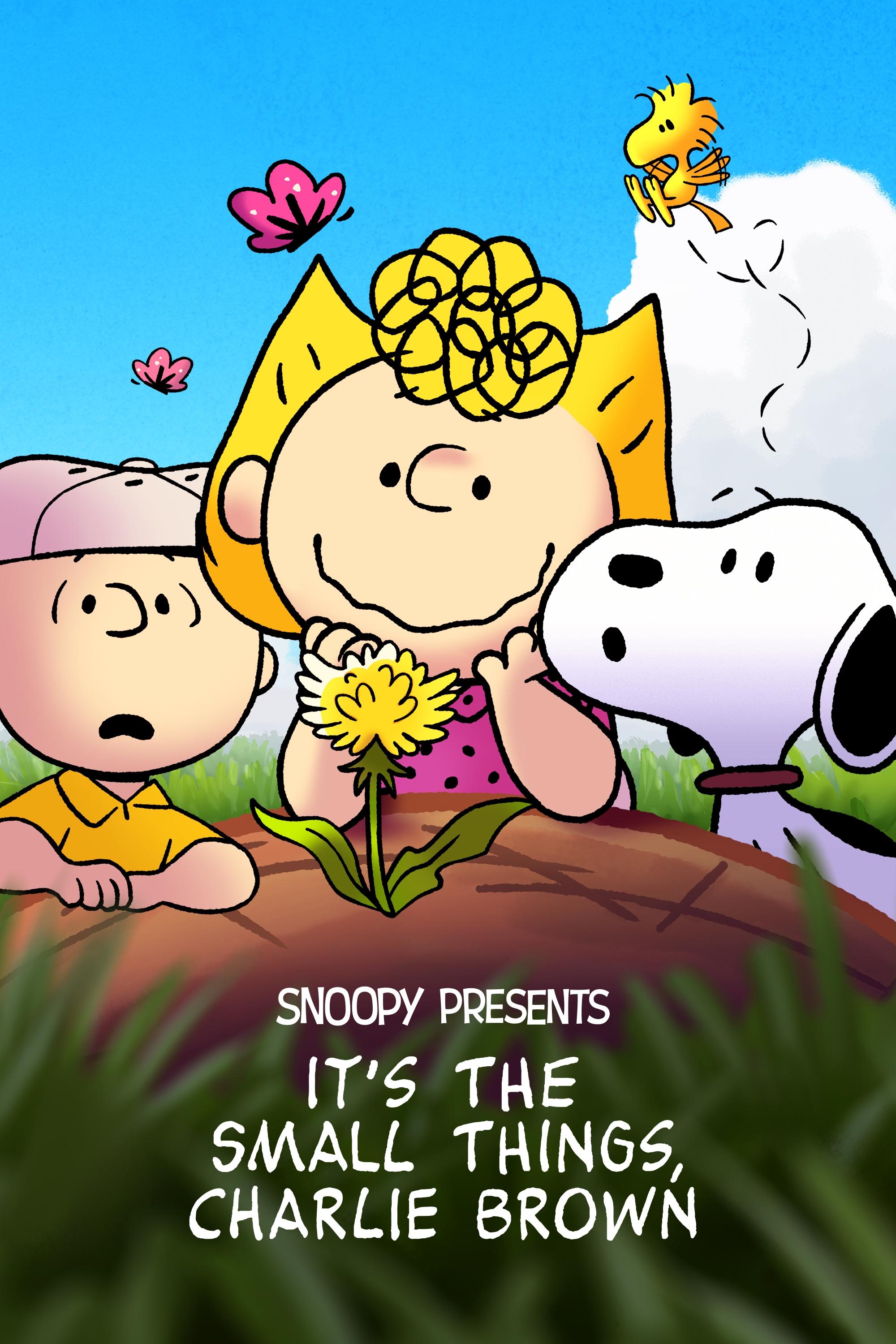 Snoopy Presents: این چیزهای کوچک است ، چارلی براون