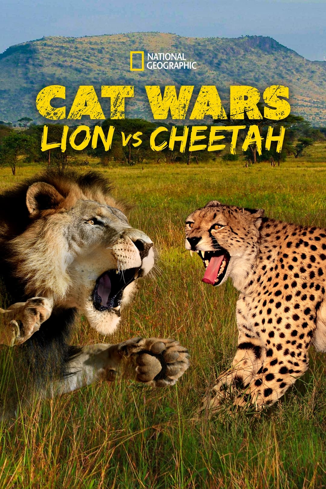 Cat Wars: شیر در مقابل یوزپلنگ