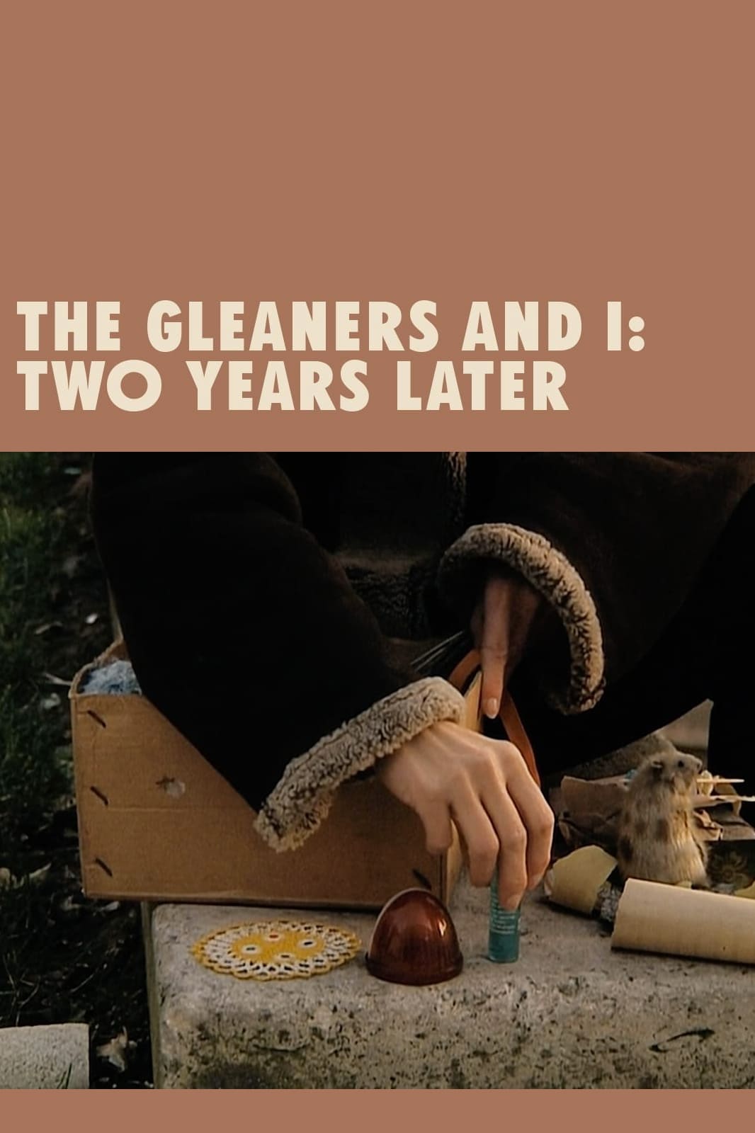 Gleaners و من: دو سال بعد