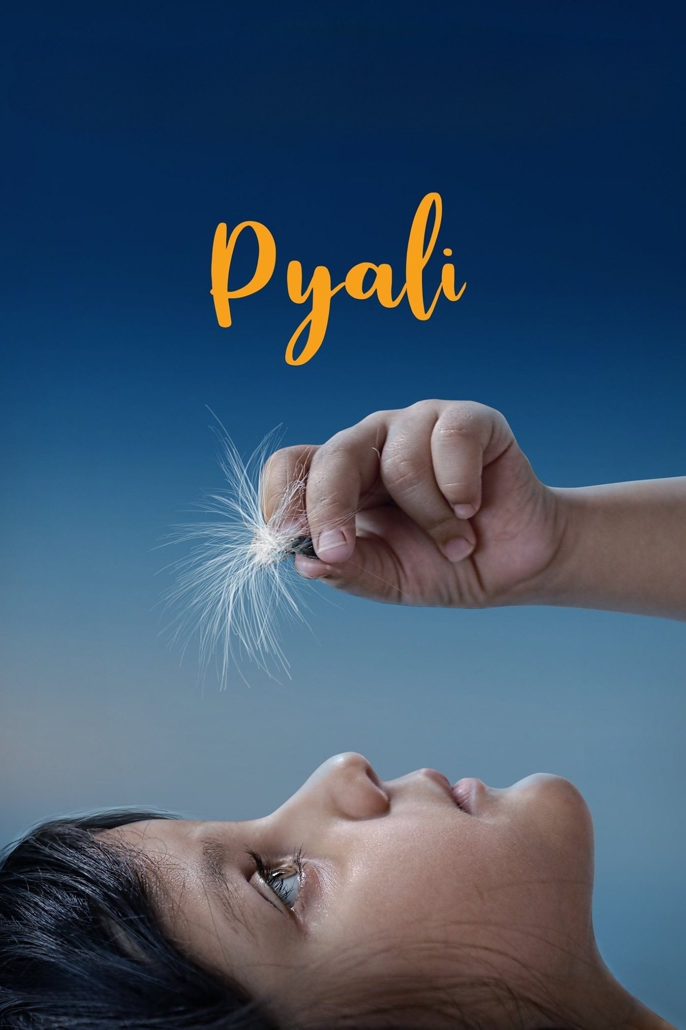 پالی