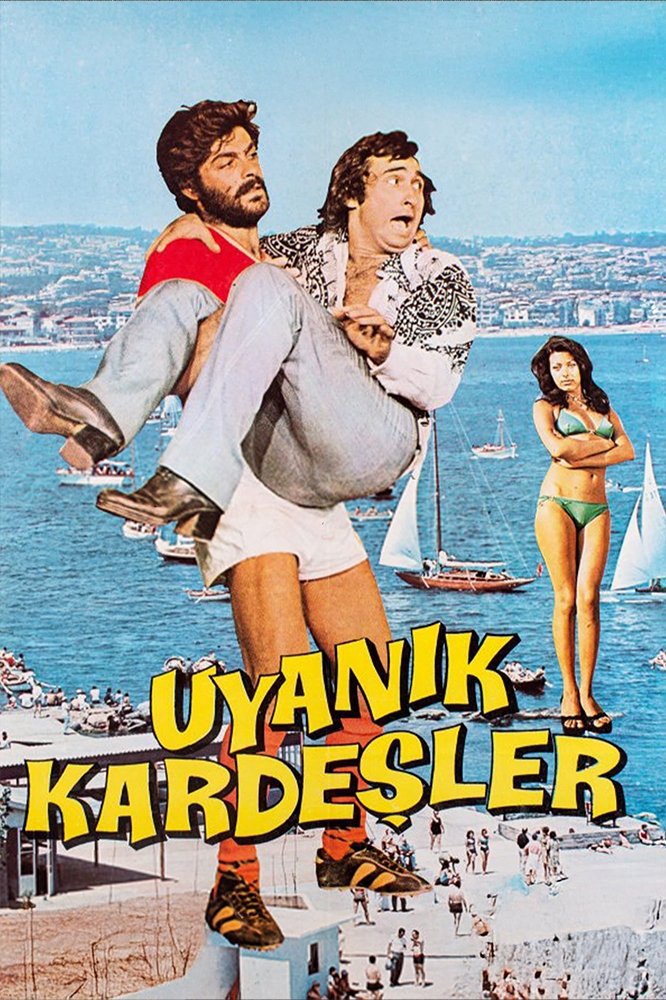 برادران بیدار