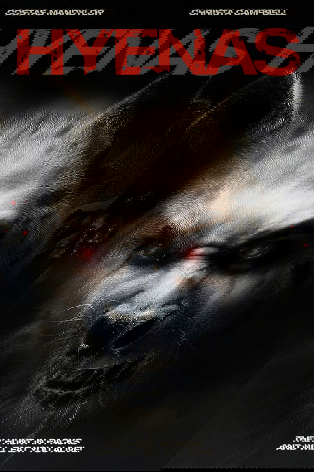 کفتار