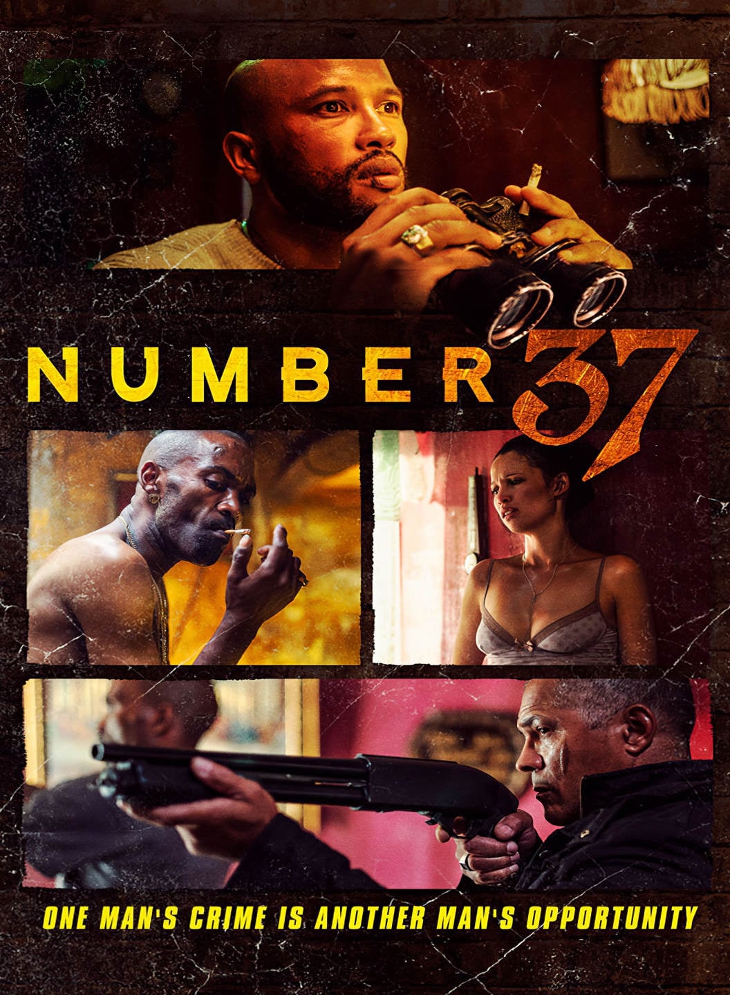 شماره 37