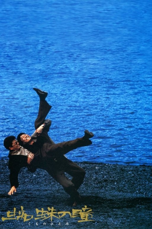 چشمان عنکبوت