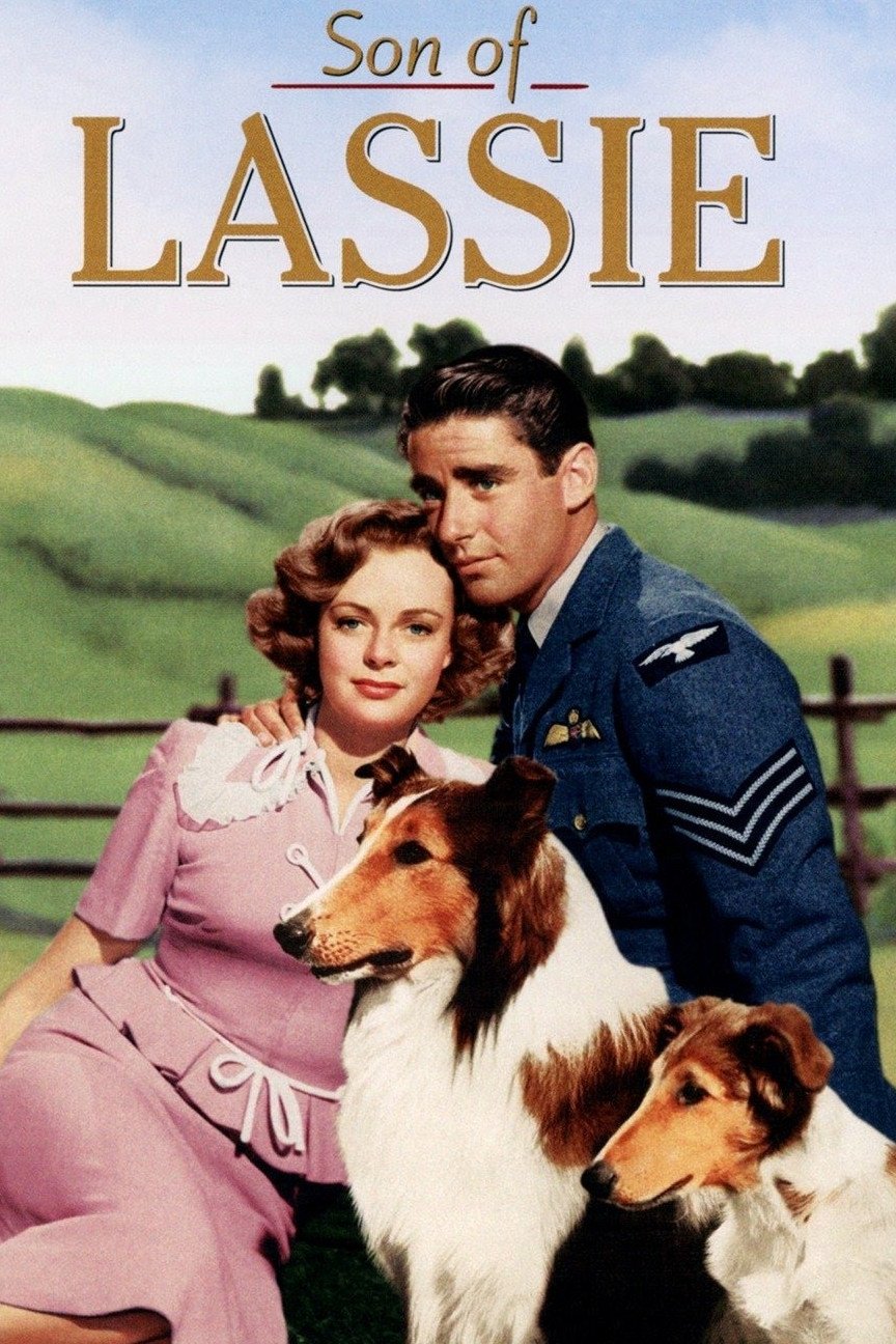 پسر لسی