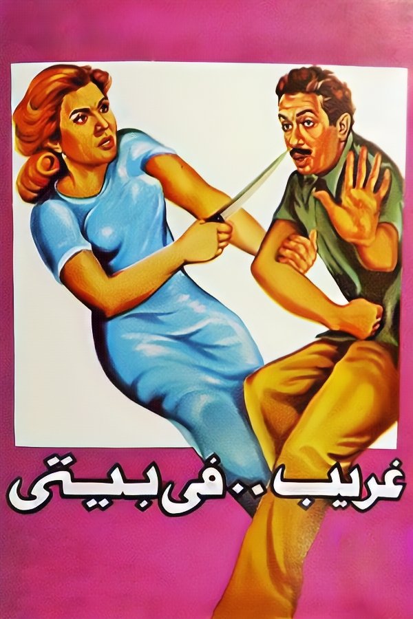 غریبه در خانه من